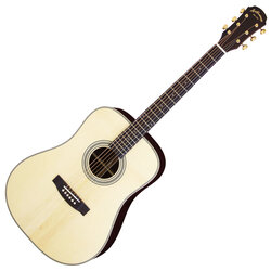 Aria Dreadnought | Acoustic Guitars | Products | ARIA 荒井貿易株式