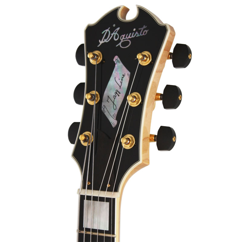DQ-JZ -Jazz Line- | Guitar | Products | ARIA 荒井貿易株式会社 Arai ...