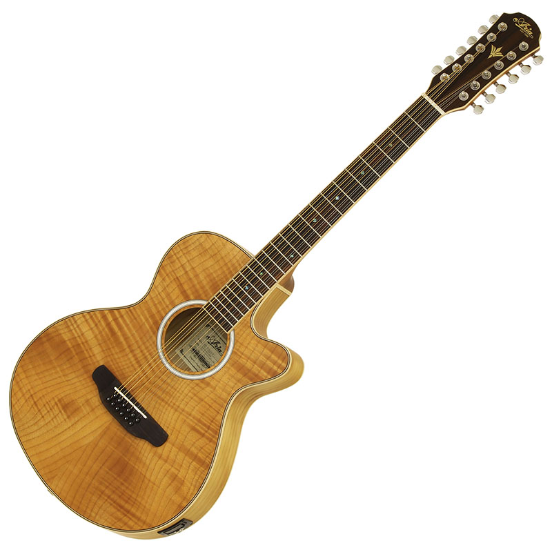 Aria FET-12 SPLN  12弦ギター