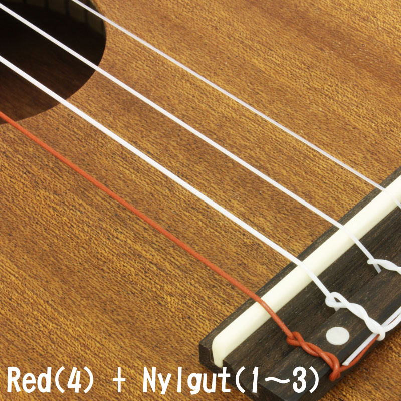 Red Series' Ukulele Strings | Ukulele Strings | Products | ARIA 荒井貿易株式会社  Arai  Co., Inc.